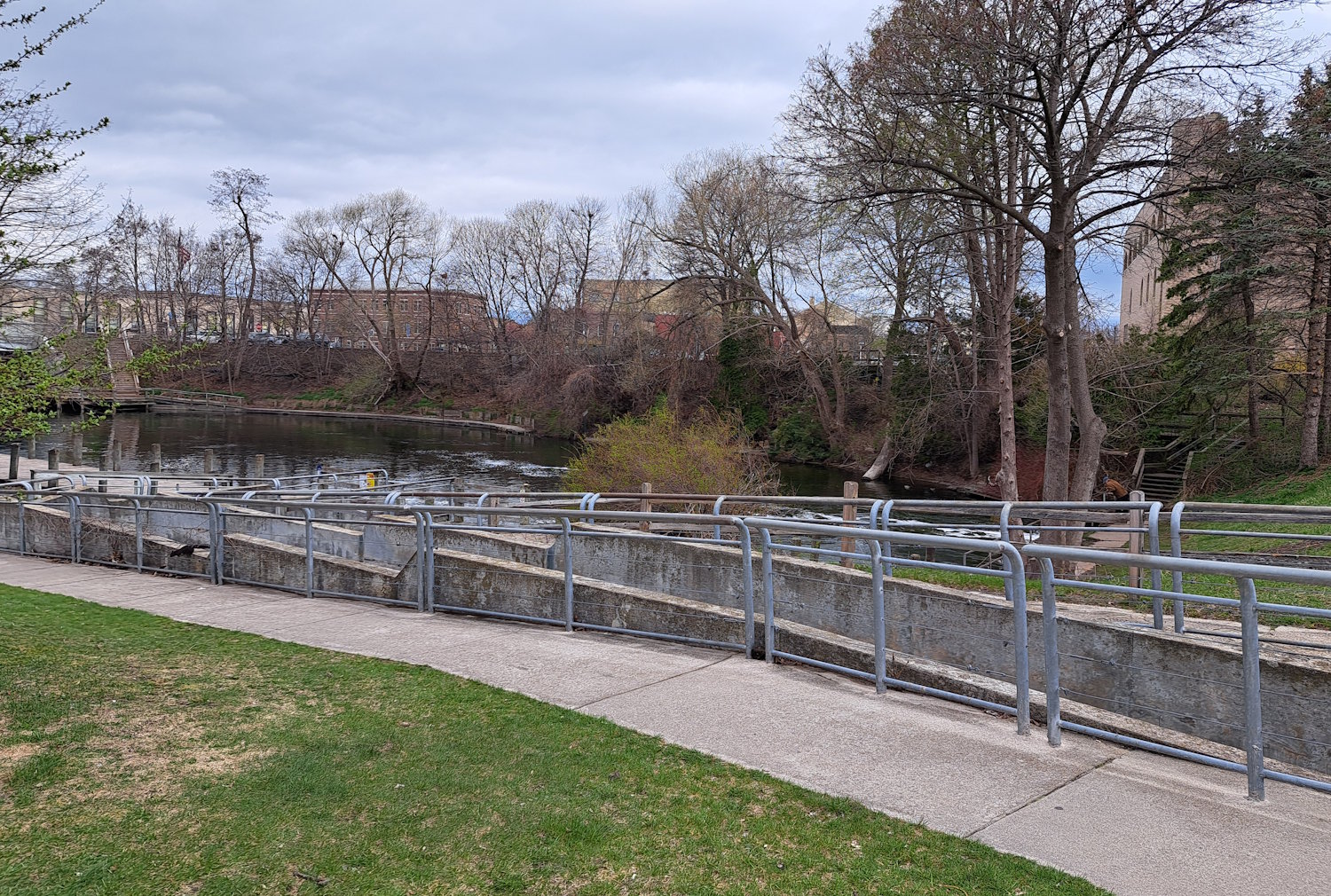 Previous fish run on the Boardman River in Traverse City